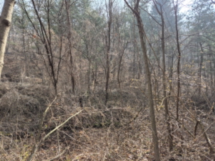 목록2,10,11,12,14 전경 (1)