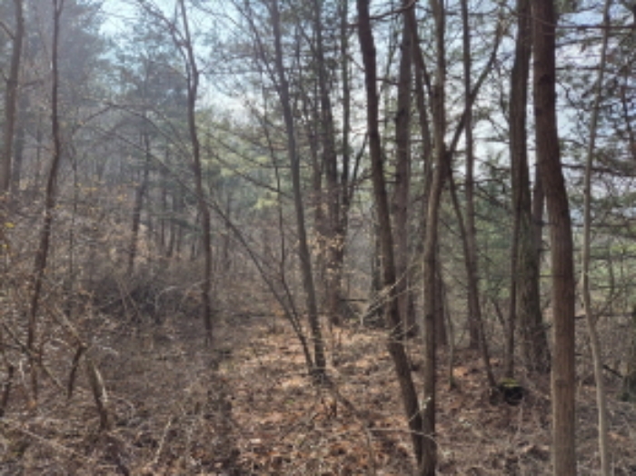 목록2,10,11,12,14 전경 (2)