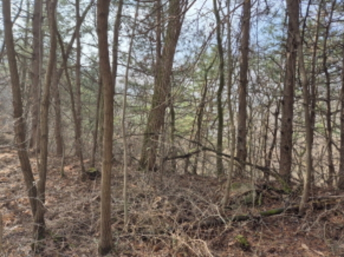 목록2,10,11,12,14 전경 (3)