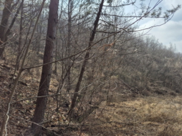 목록2,10,11,12,14 전경 (4)