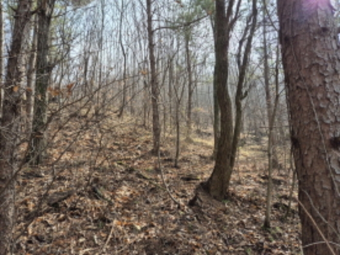 목록2,10,11,12,14 전경 (5)