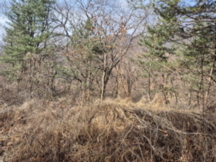 목록2,10,11,12,14 전경 (6)