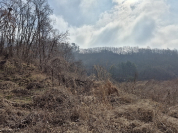 목록3,16,20,21 전경 (13)