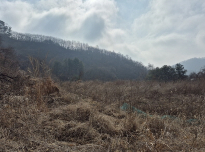 목록3,16,20,21 전경 (11)