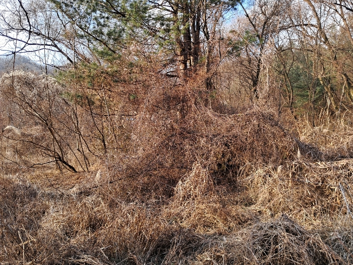 기호(2, 10, 11, 12, 14)