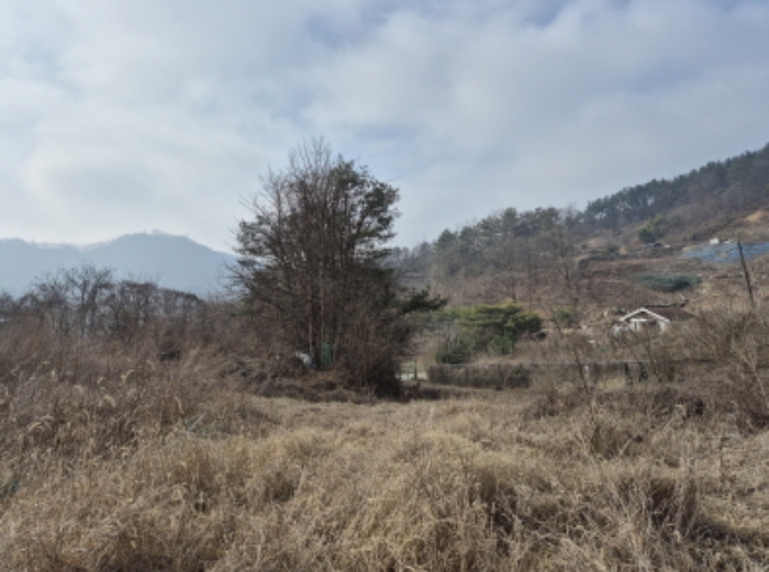 목록3,16,20,21 전경 (12)