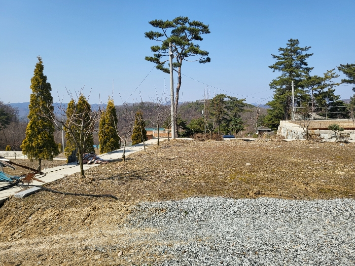 제시외수목 - 소나무 등 기타수종