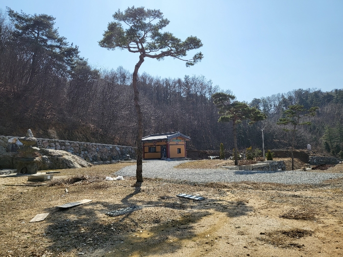 제시외수목 - 소나무(2)