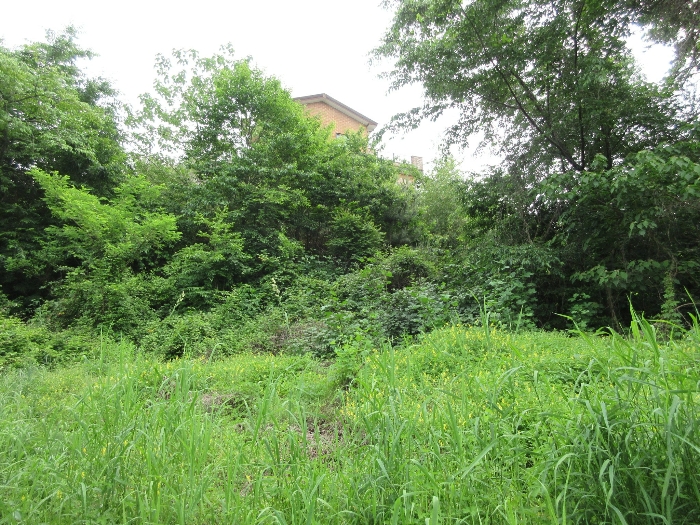 【 본 건 기호 19) 】