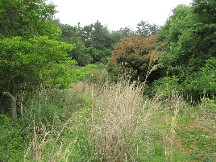 【 본 건 기호 20) 】