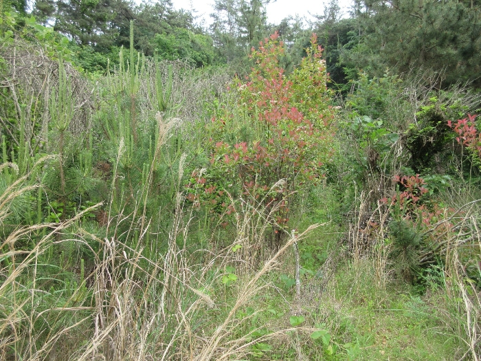 【 본 건 기호 20) 】