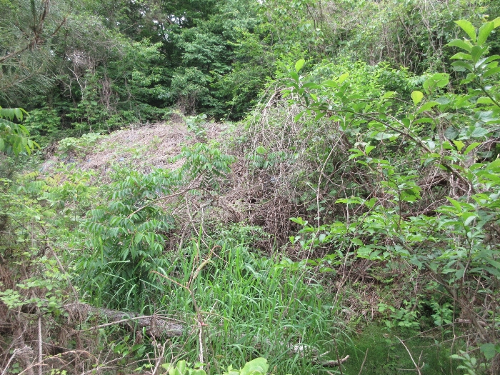 【 본 건 기호 21) 】