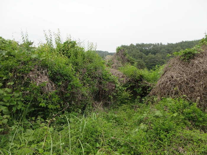 【 본 건 기호 15) 】