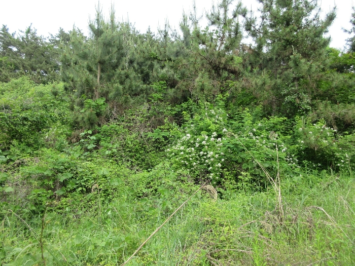 【 본 건 기호 16) 】