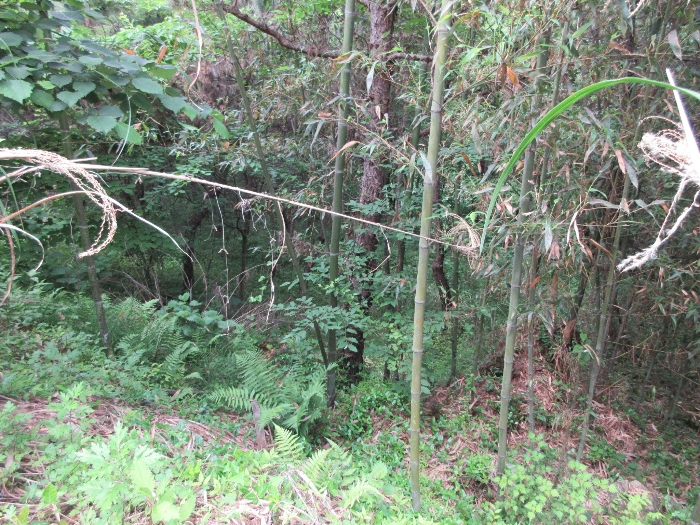 【 본 건 기호 18) 】