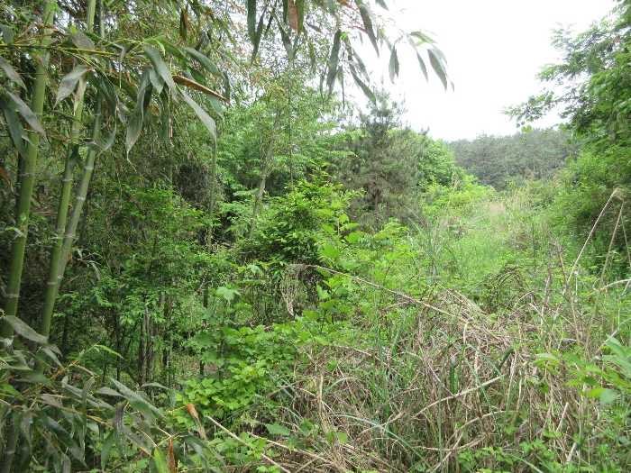 【 본 건 기호 18) 】