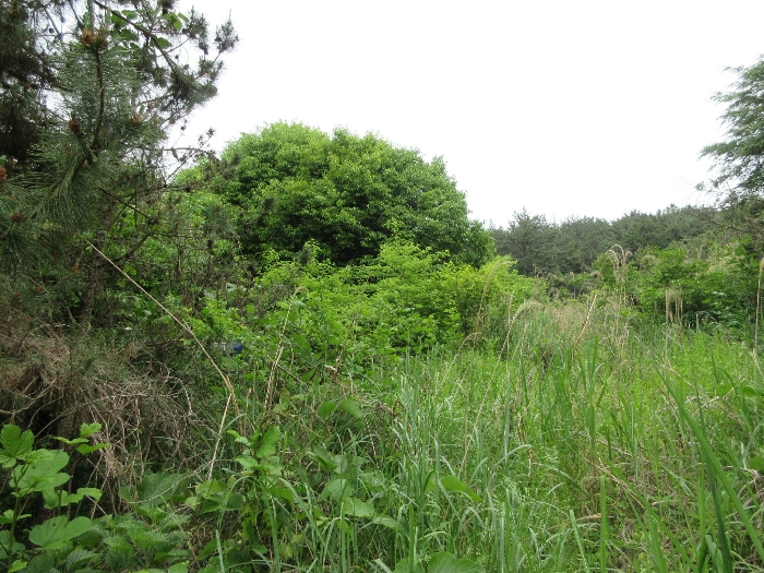 【 본 건 기호 18) 】