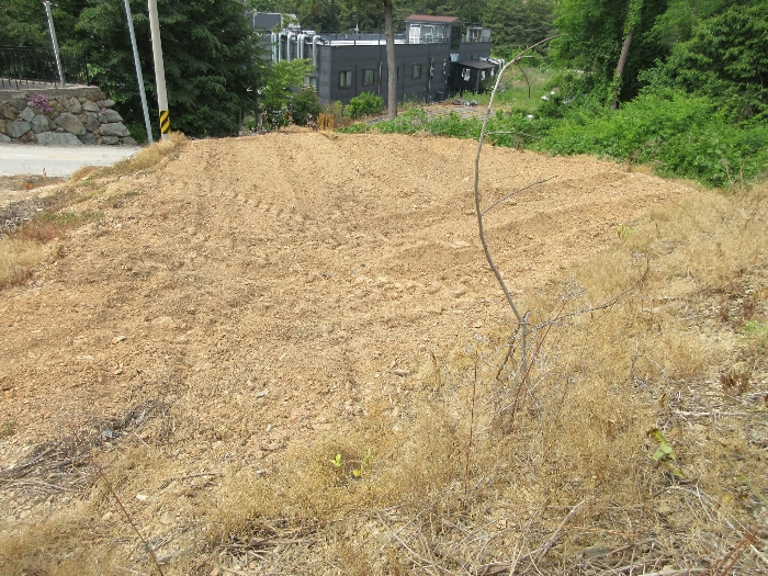 【 본 건 기호 11) 】