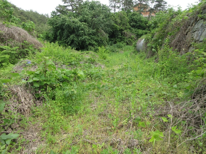 【 본 건 기호 12) 】