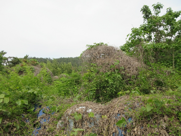 【 본 건 기호 13) 】