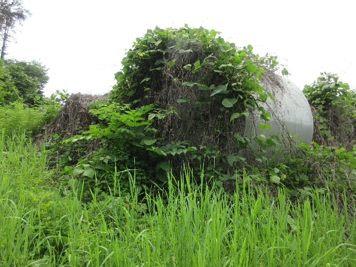 【 본 건 기호 14) 】