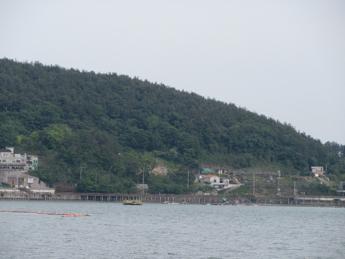 【 본 건 기호 1), 2) 】