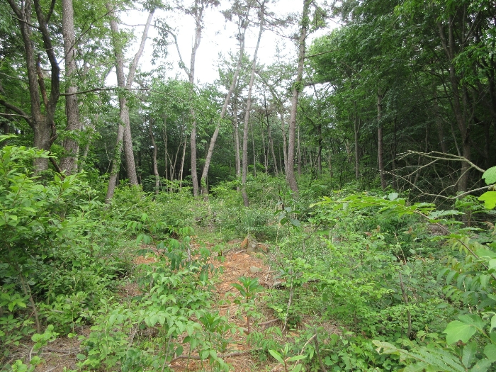 【 본 건 전경 일부(기호 5), 6) 및 주위 환경) 】