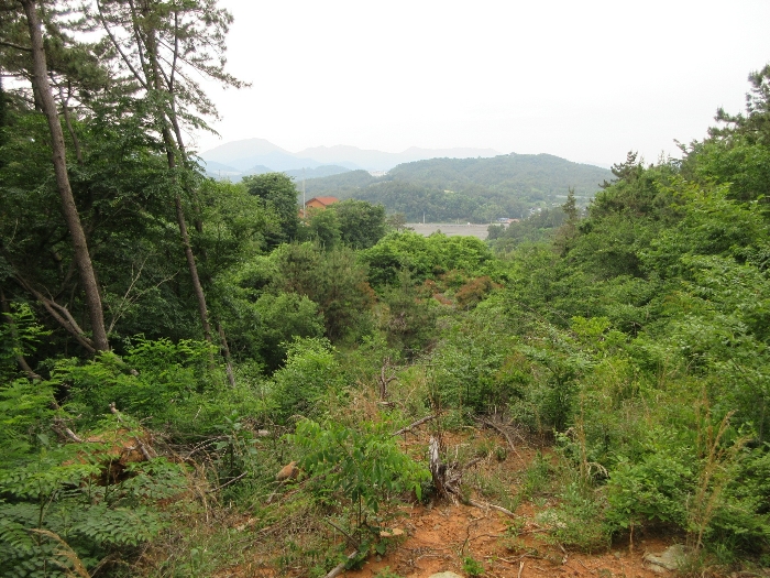 【 본 건 전경 일부(기호 7) - 22) 및 주위 환경) 】