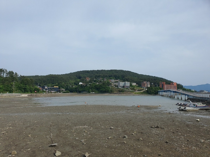 【 본 건 및 주위 환경 】