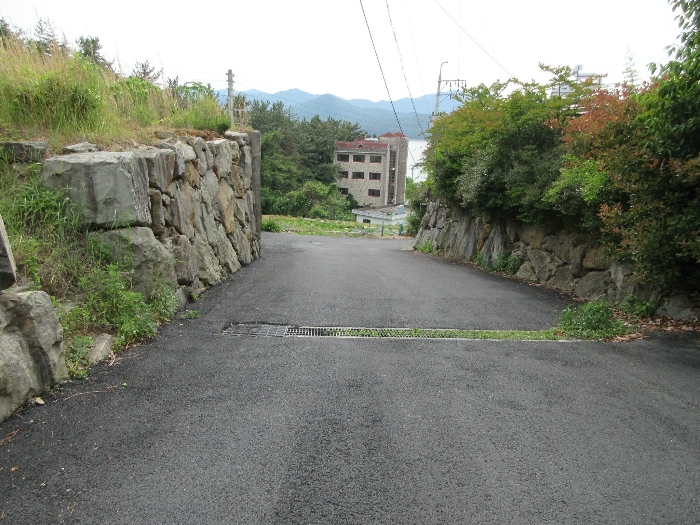 【 본 건 기호 24) 】