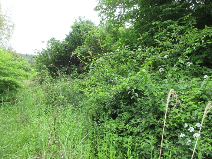 【 본 건 기호 19) 】