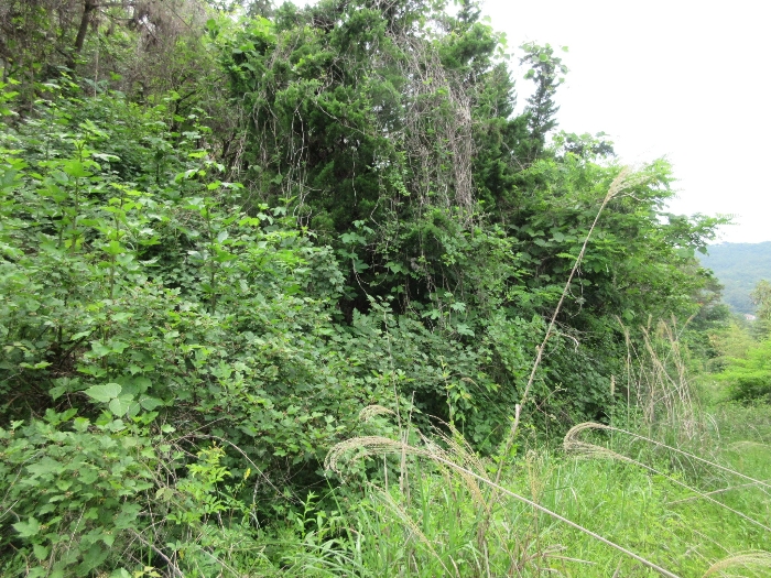 【 본 건 기호 19) 】