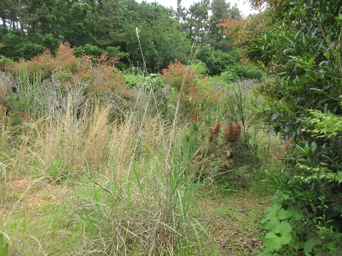 【 본 건 기호 20) 】