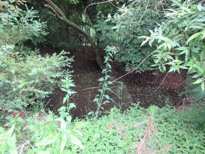 【 본 건 기호 20) 】