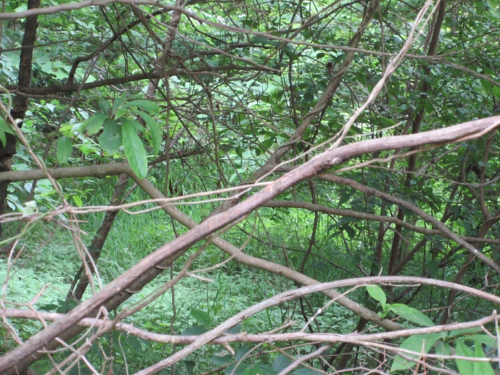 【 본 건 기호 22) 】