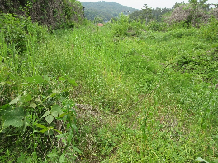 【 본 건 기호 14) 】