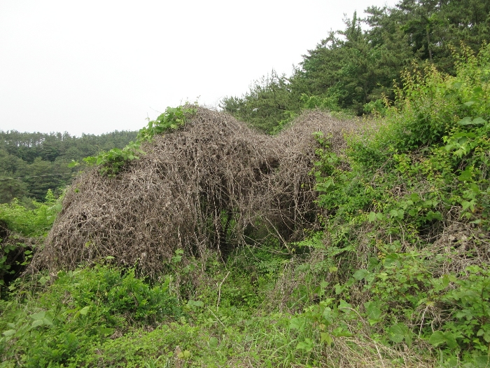 【 본 건 기호 15) 】