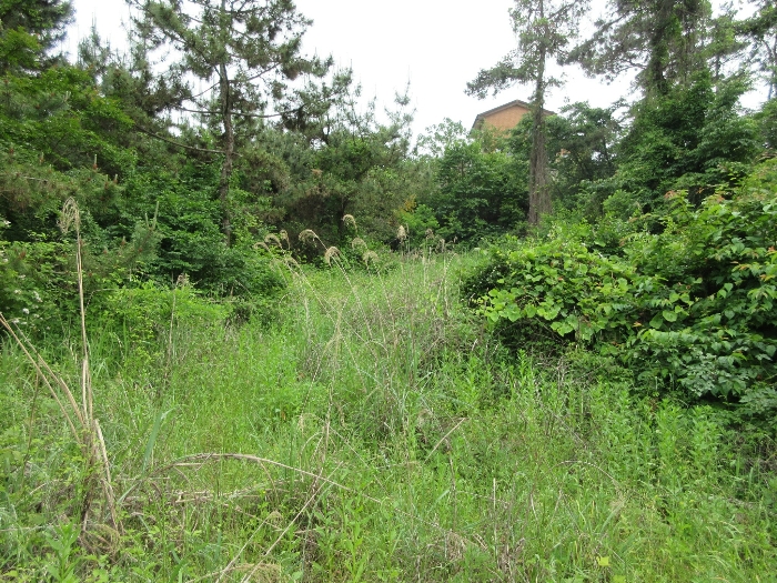 【 본 건 기호 17), 18) 】