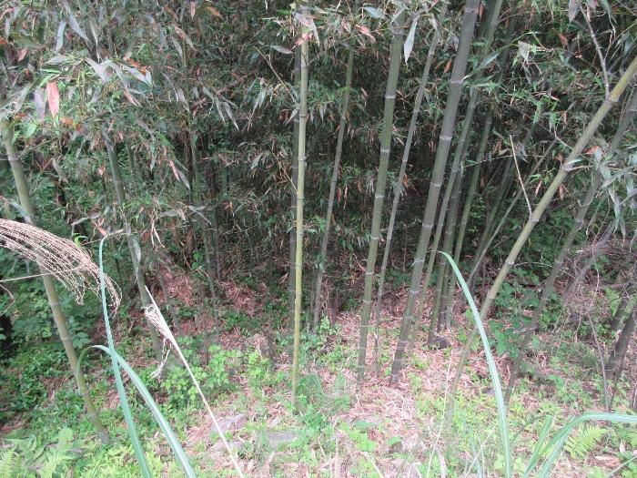 【 본 건 기호 18) 】