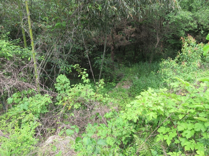 【 본 건 기호 18) 】