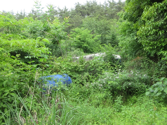 【 본 건 기호 18) 】