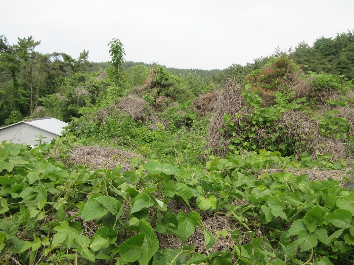 【 본 건 기호 12) 】