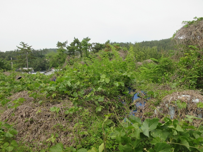 【 본 건 기호 12) 】