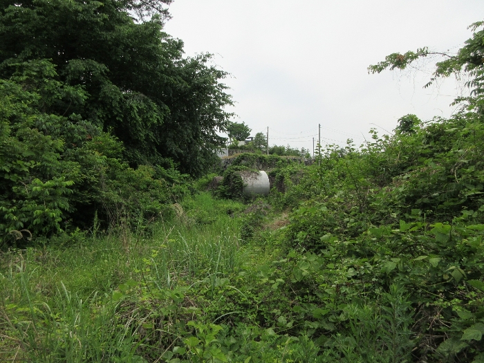 【 본 건 기호 14) 】