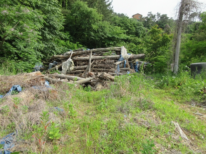 【 본 건 기호 9) 】