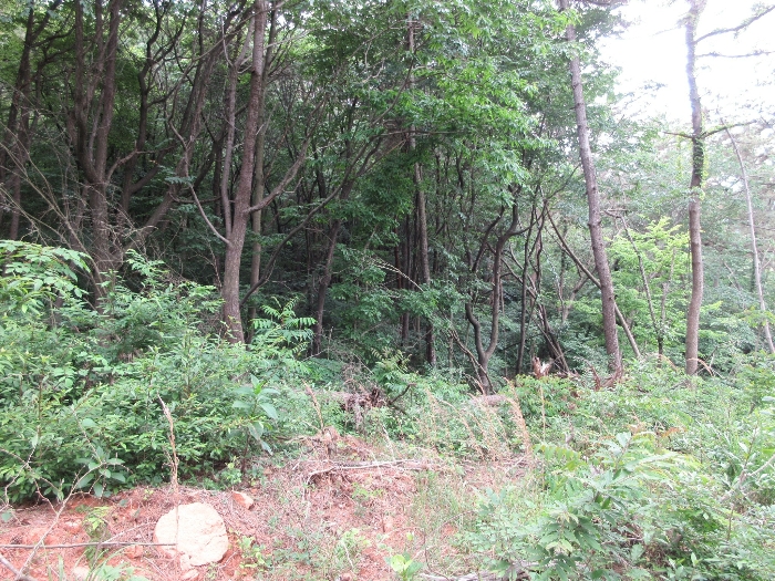 【 본 건 전경 일부(기호 5), 6) 및 주위 환경) 】