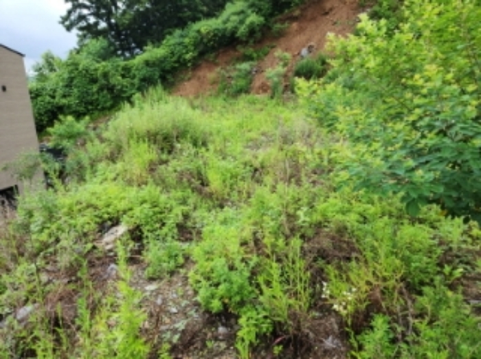 목록9 부동산 전경
