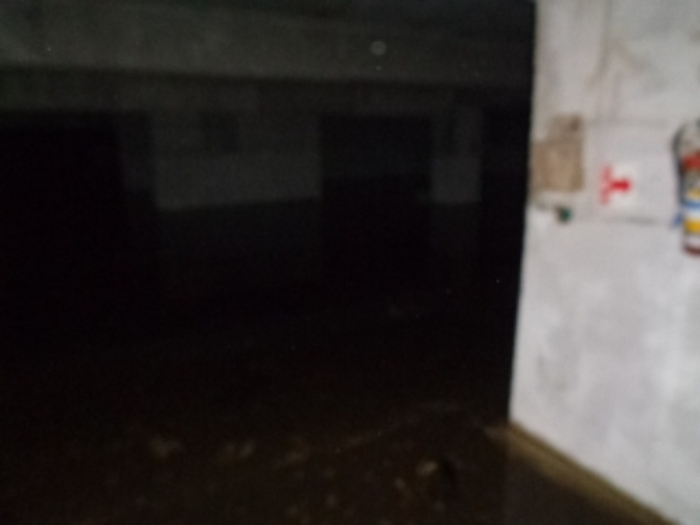 제시외 건물(ㄱ