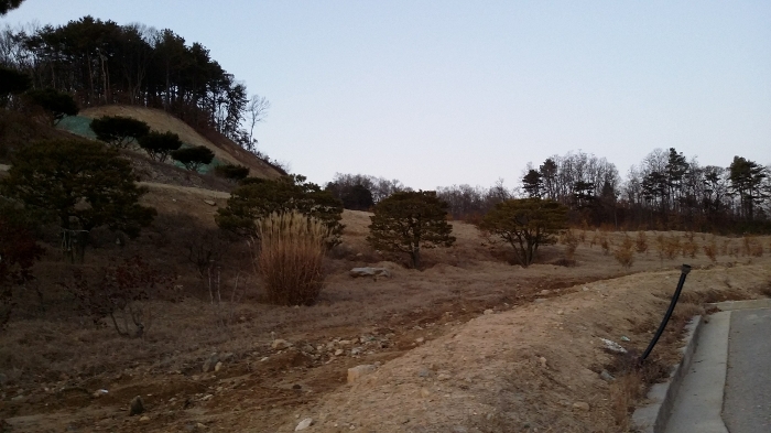 본건 동측 경계