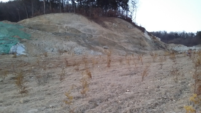 본건 동측 인근